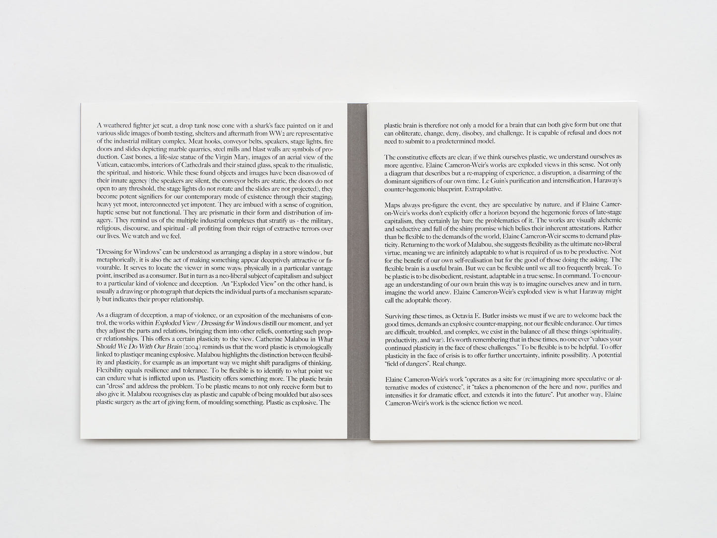 Elaine Cameron-Weir: Exploded View / Dressing for Windows