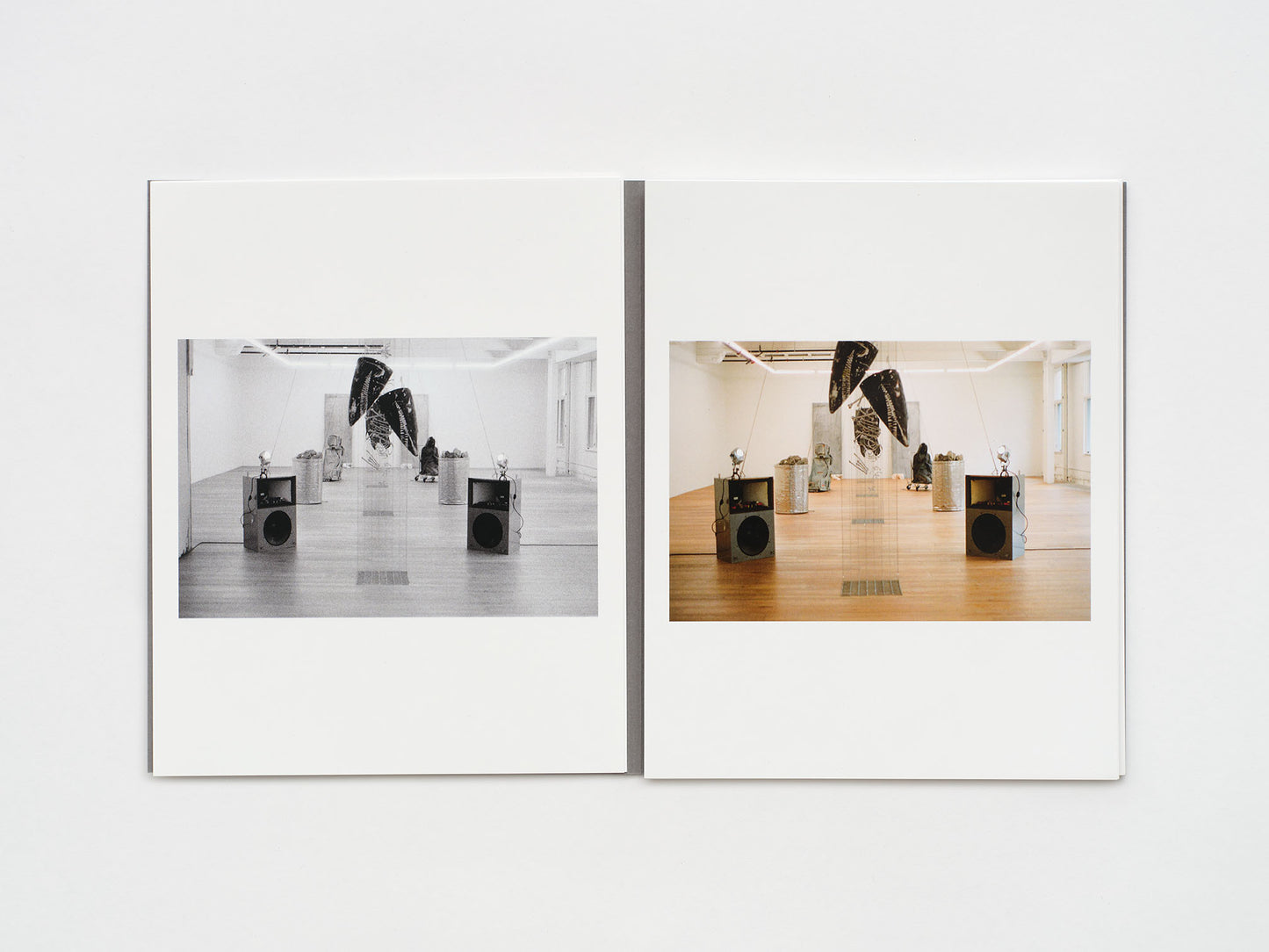 Elaine Cameron-Weir: Exploded View / Dressing for Windows