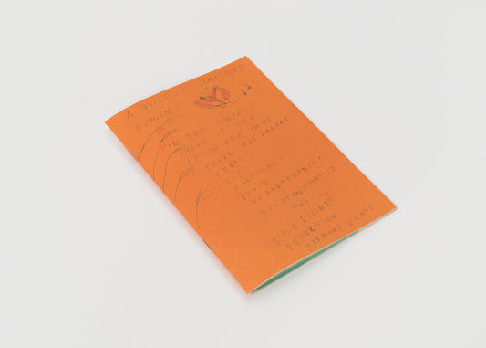 In the Sunset – There Is Life – It Shines on Us