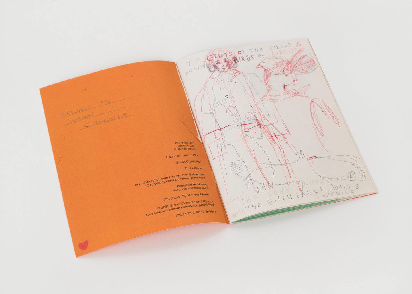 In the Sunset – There Is Life – It Shines on Us