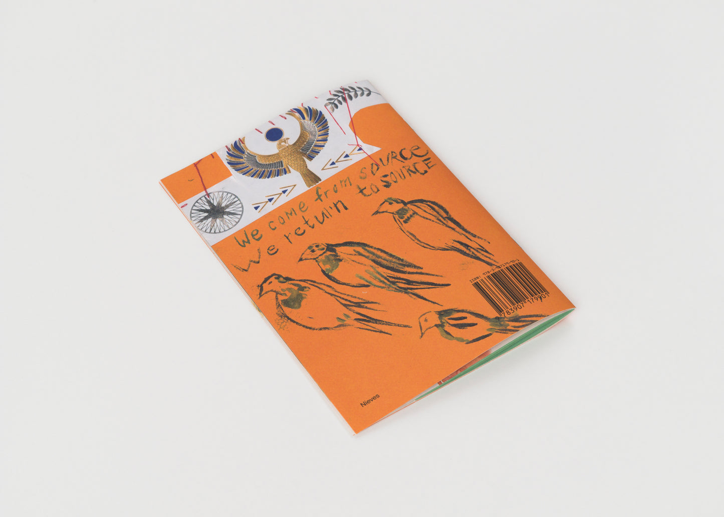 In the Sunset – There Is Life – It Shines on Us