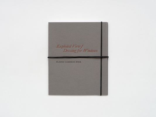 Elaine Cameron-Weir: Exploded View / Dressing for Windows