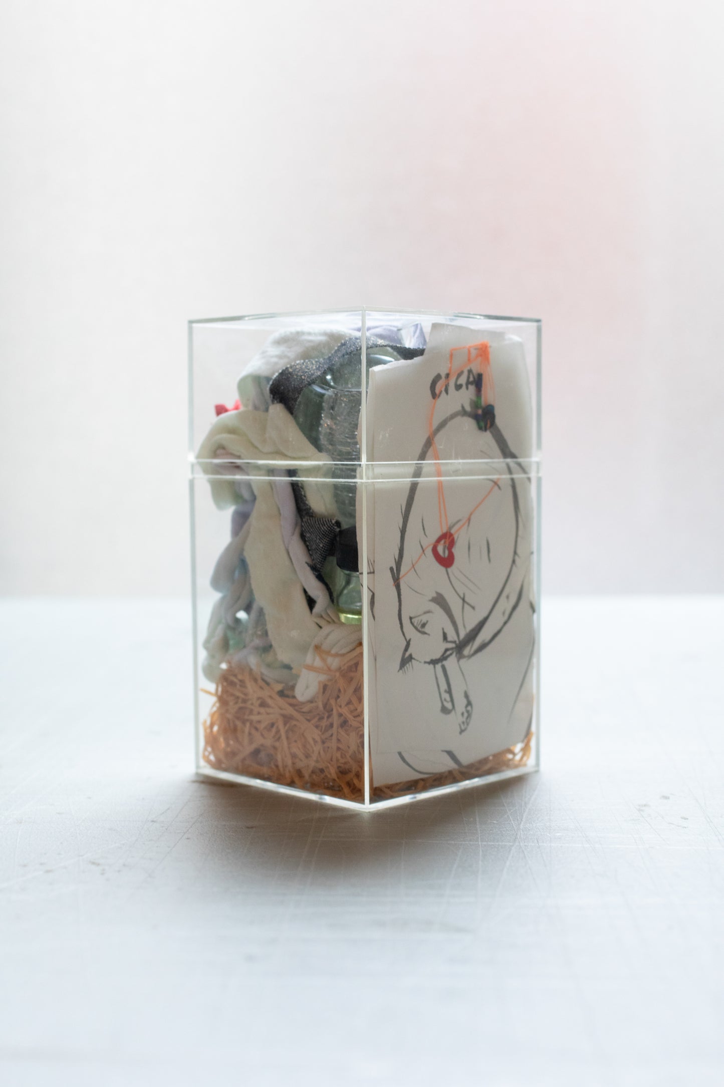 RUN 9 Perfume: Cica, 1999