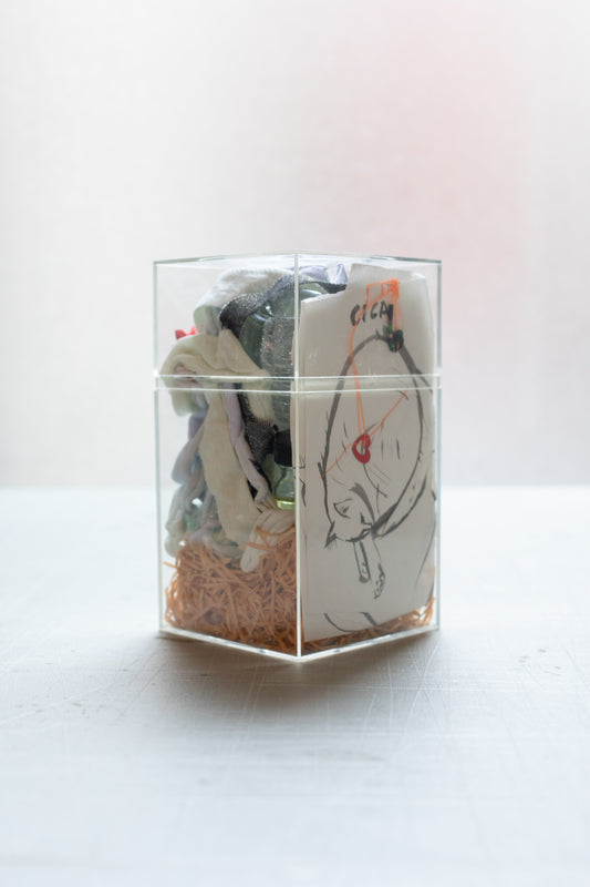 RUN 9 Perfume: Cica, 1999