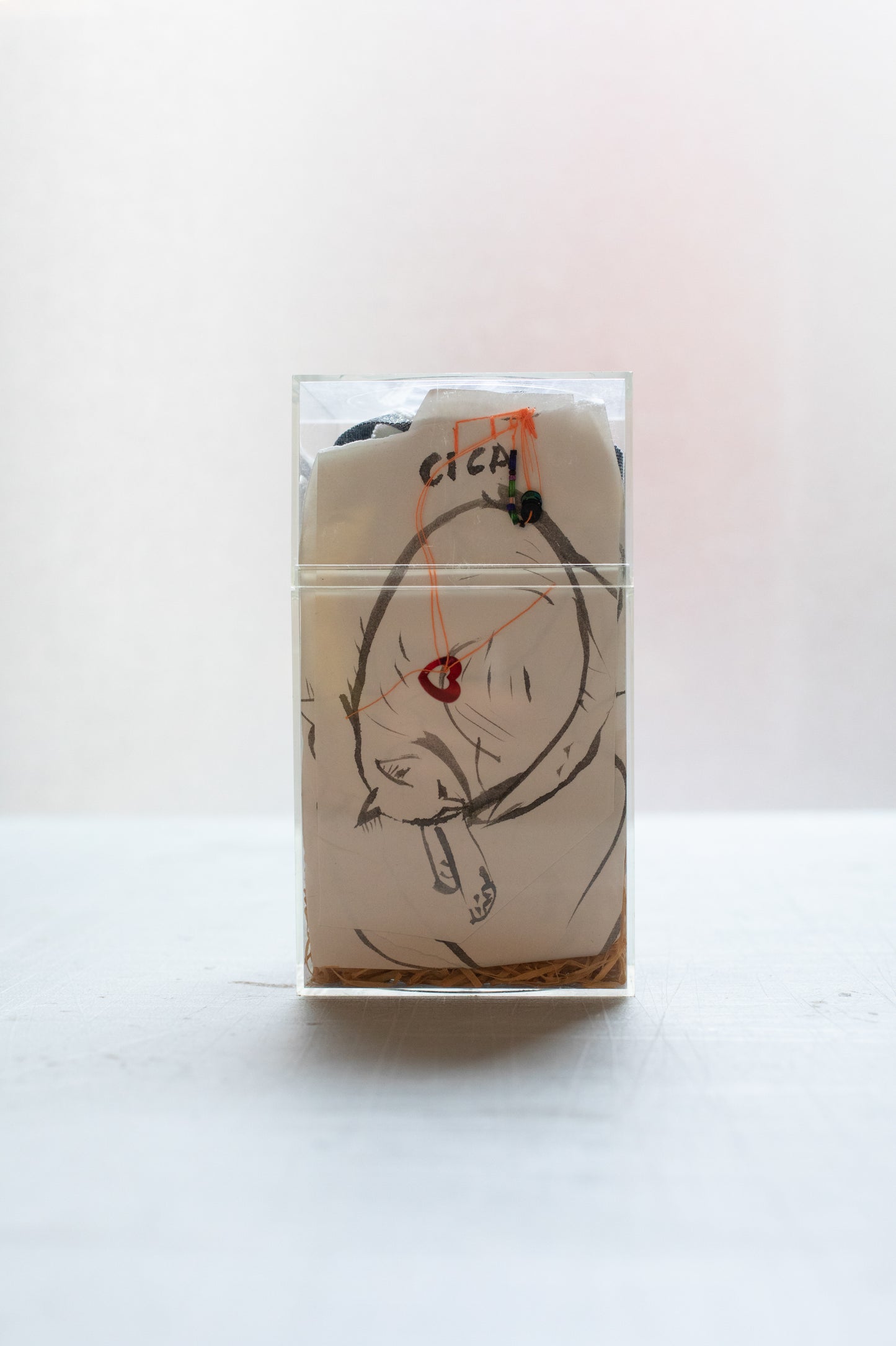 RUN 9 Perfume: Cica, 1999