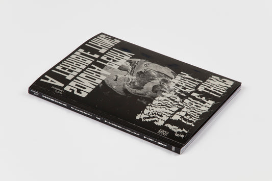 Sondra Perry: A Terrible Thing